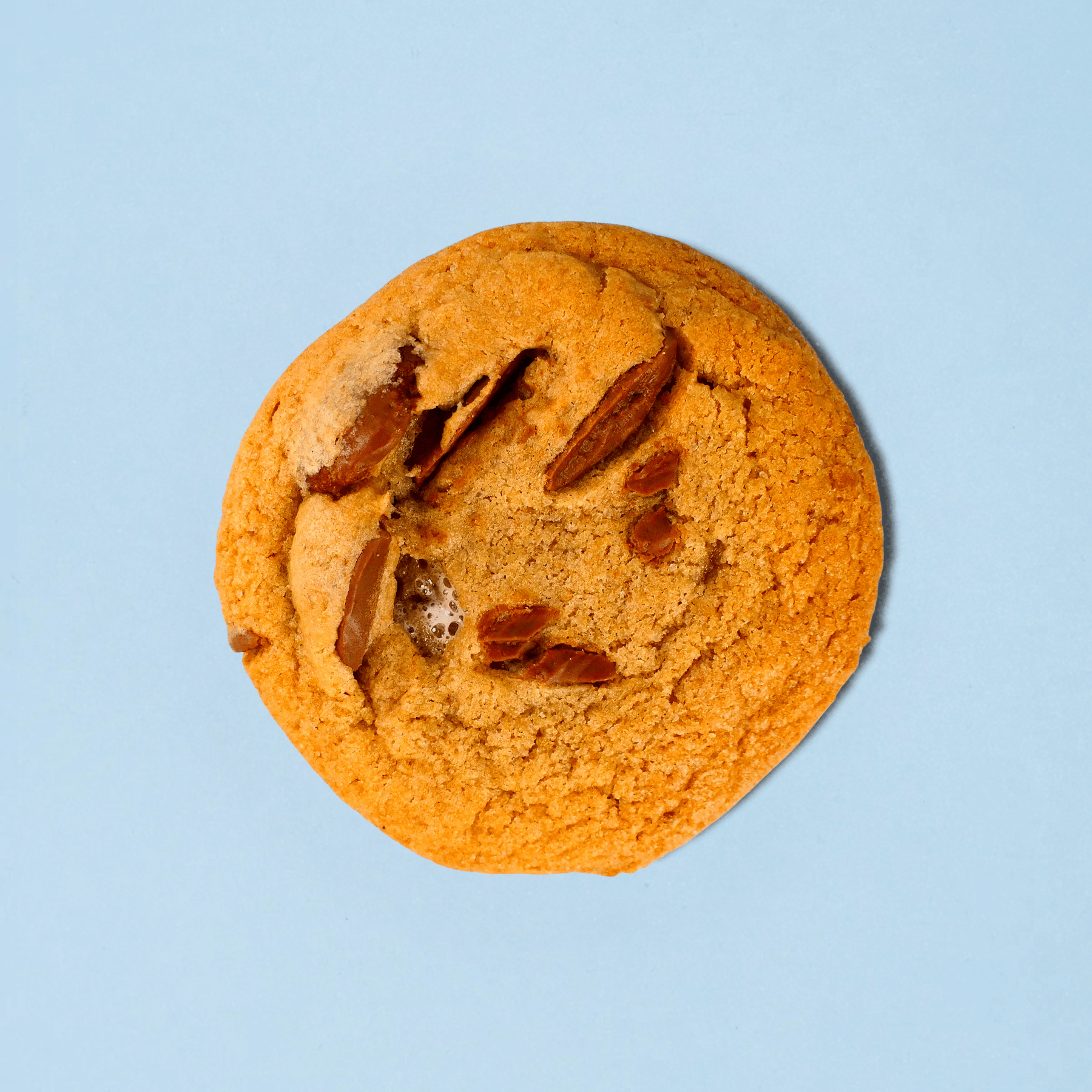 Campfire Dream Single Cookie