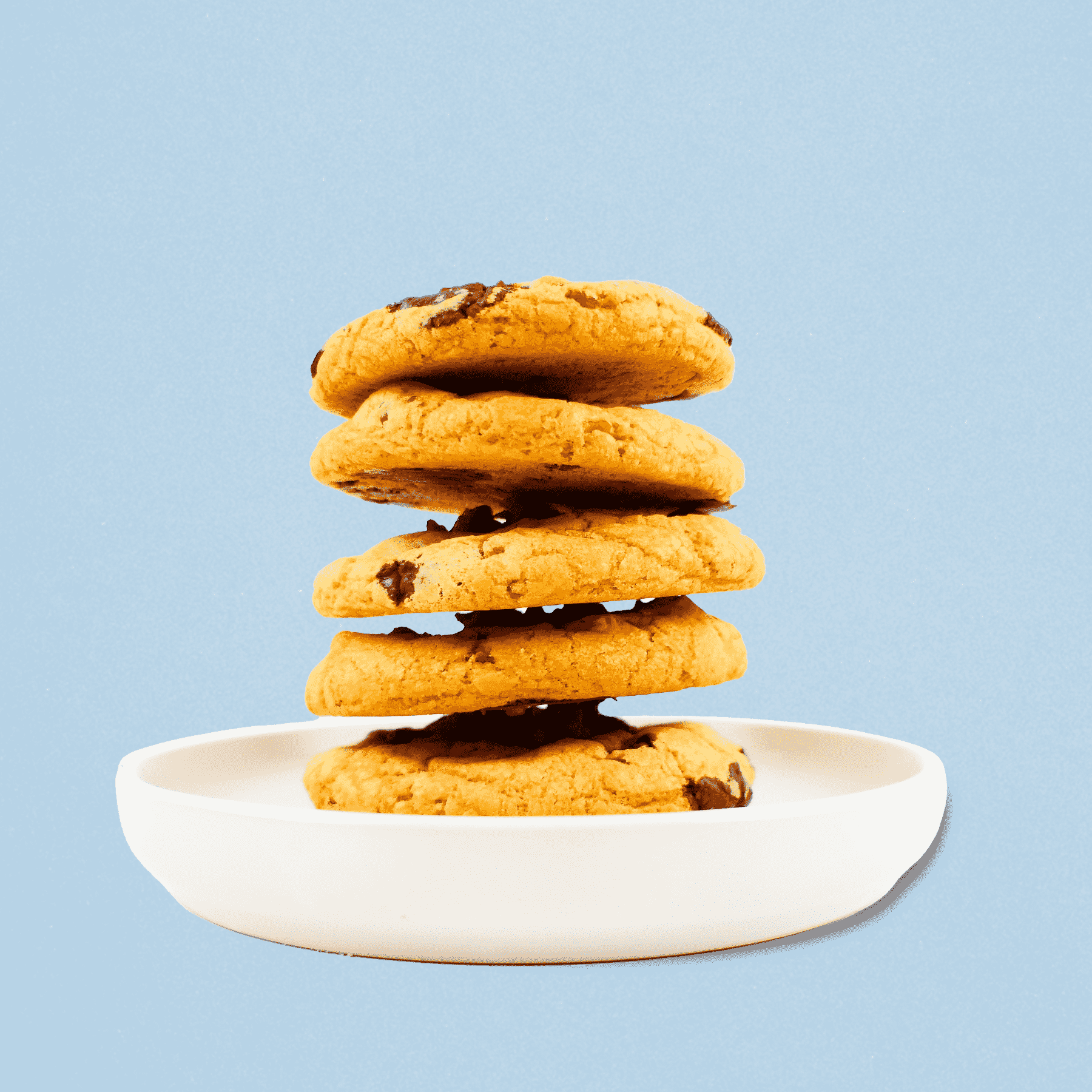 Chocolate Covered Bacon Cookies