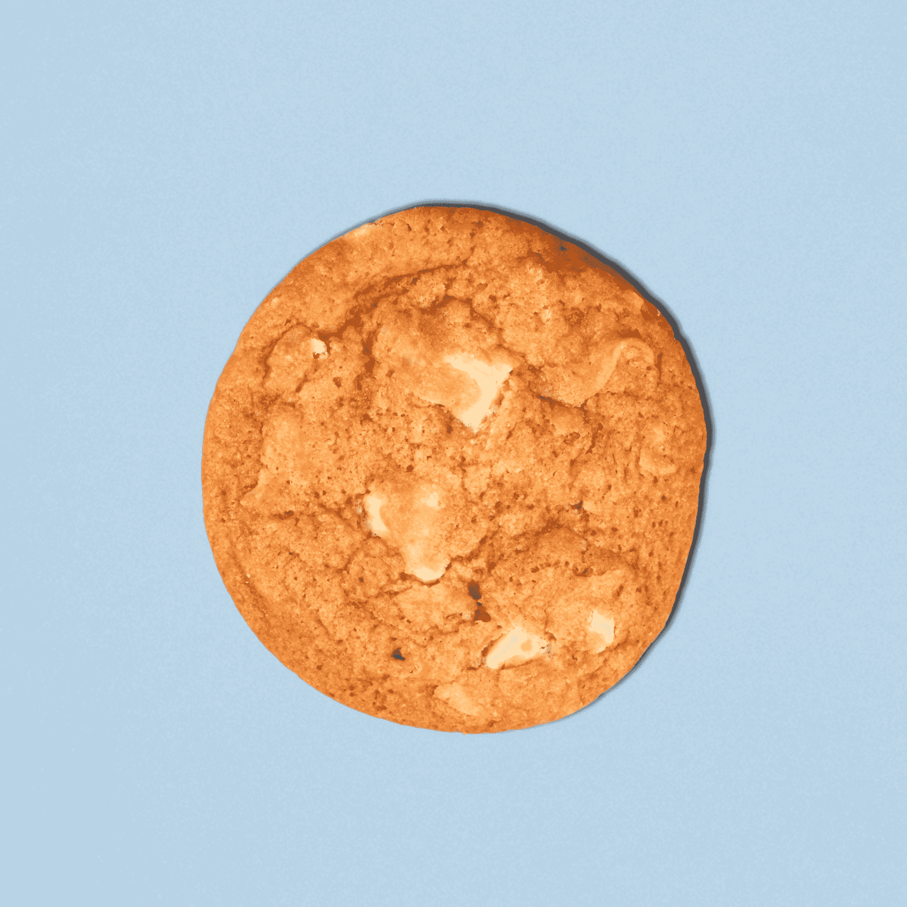 Coconut Zing Cookies