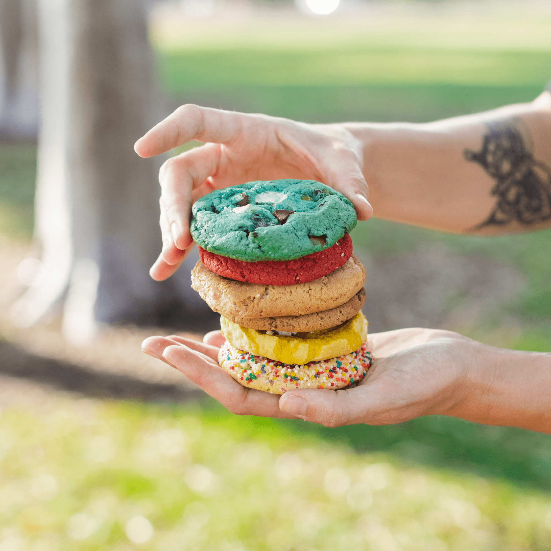 Cookie Monster Cookies