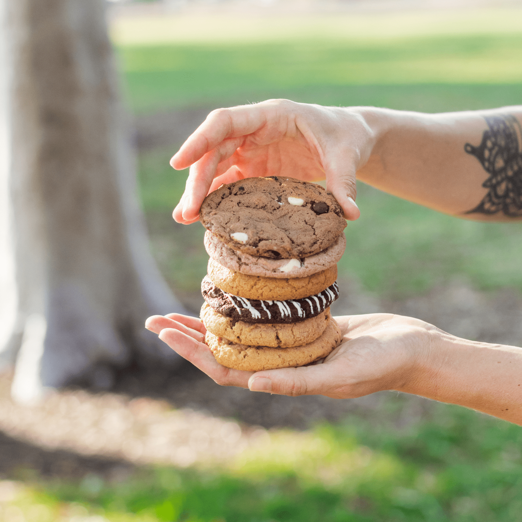 assorted cookies stacked