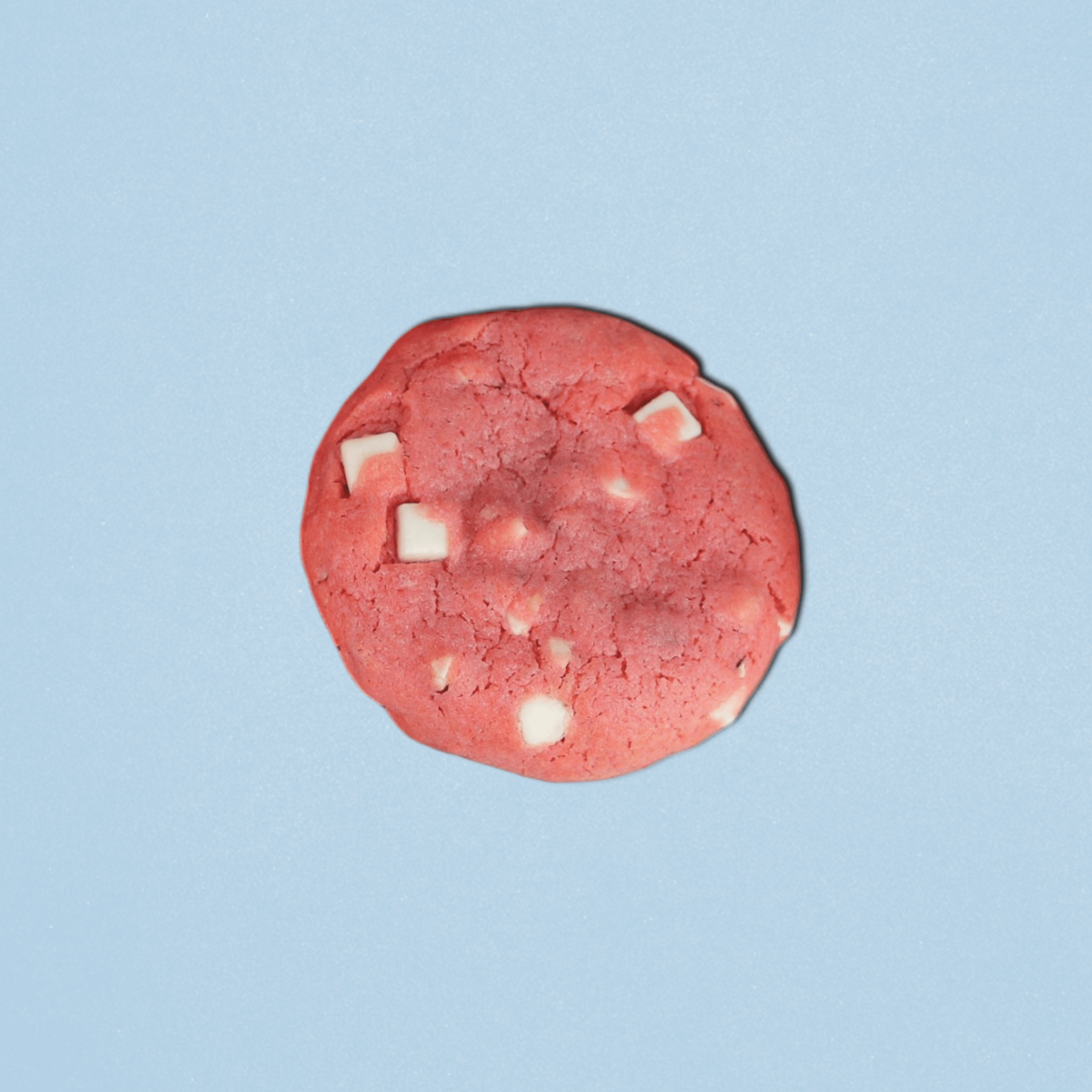 Nutty LemonBerry Cookie Flat Lay