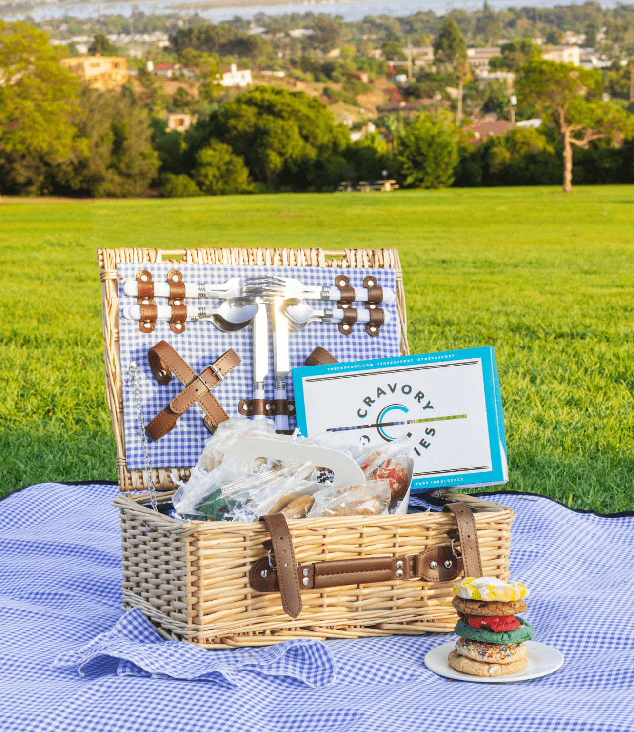 Picnic basket with assorted cookies
