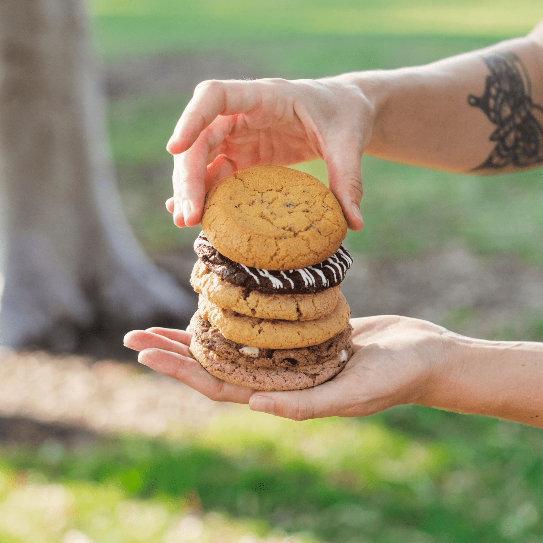 assorted cookies stacked