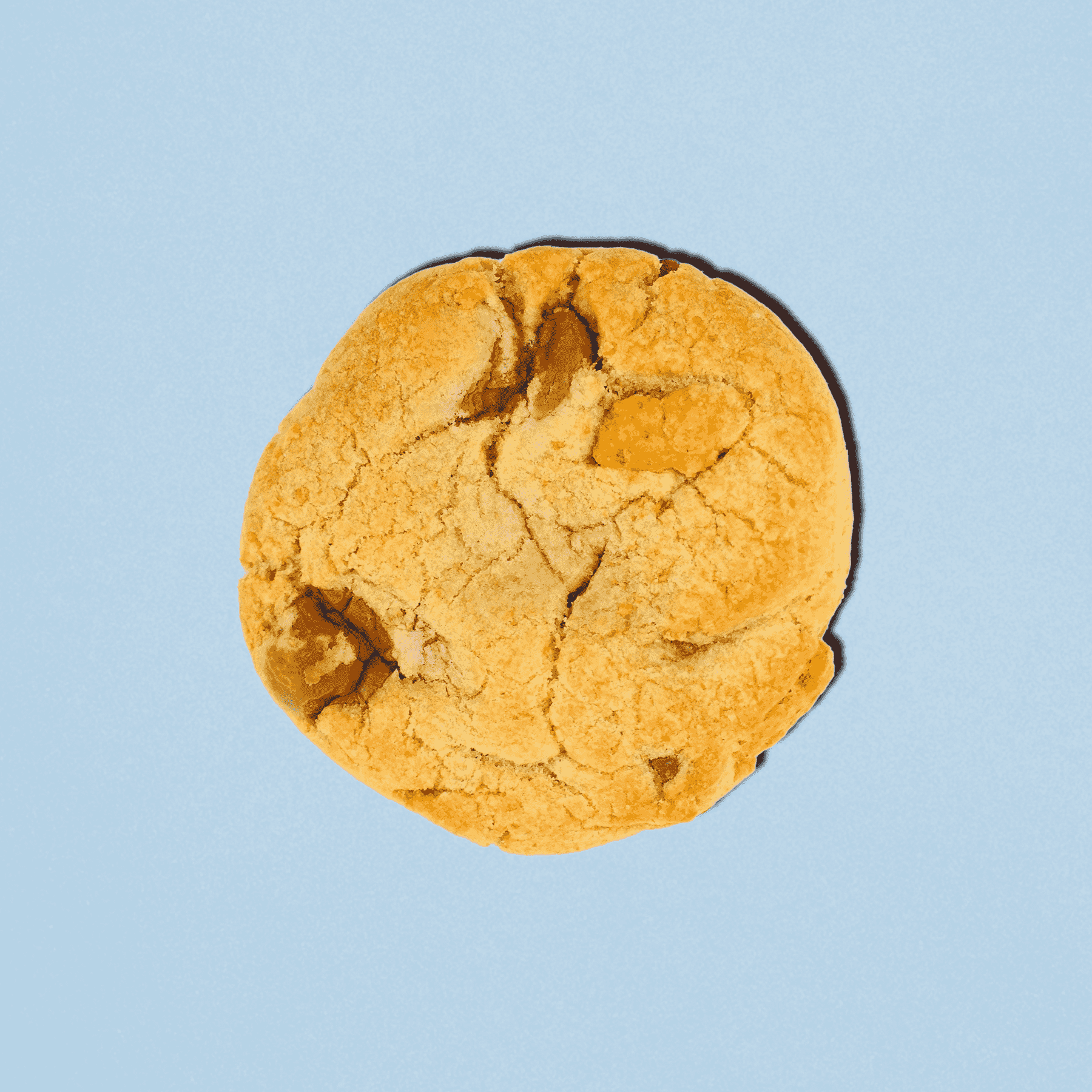 Beach Bonfire S'mores Cookies