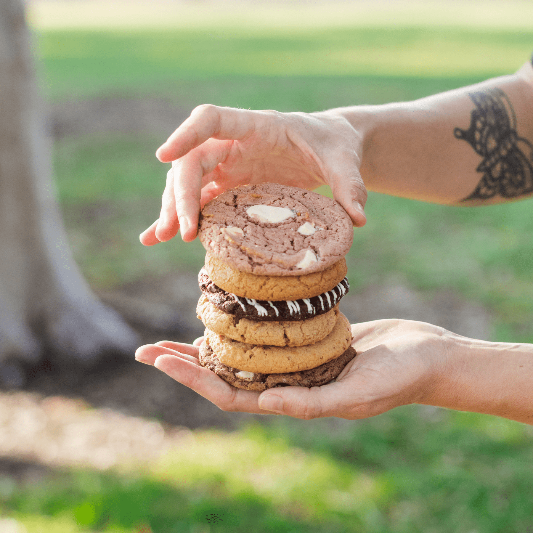 assorted cookies stacked