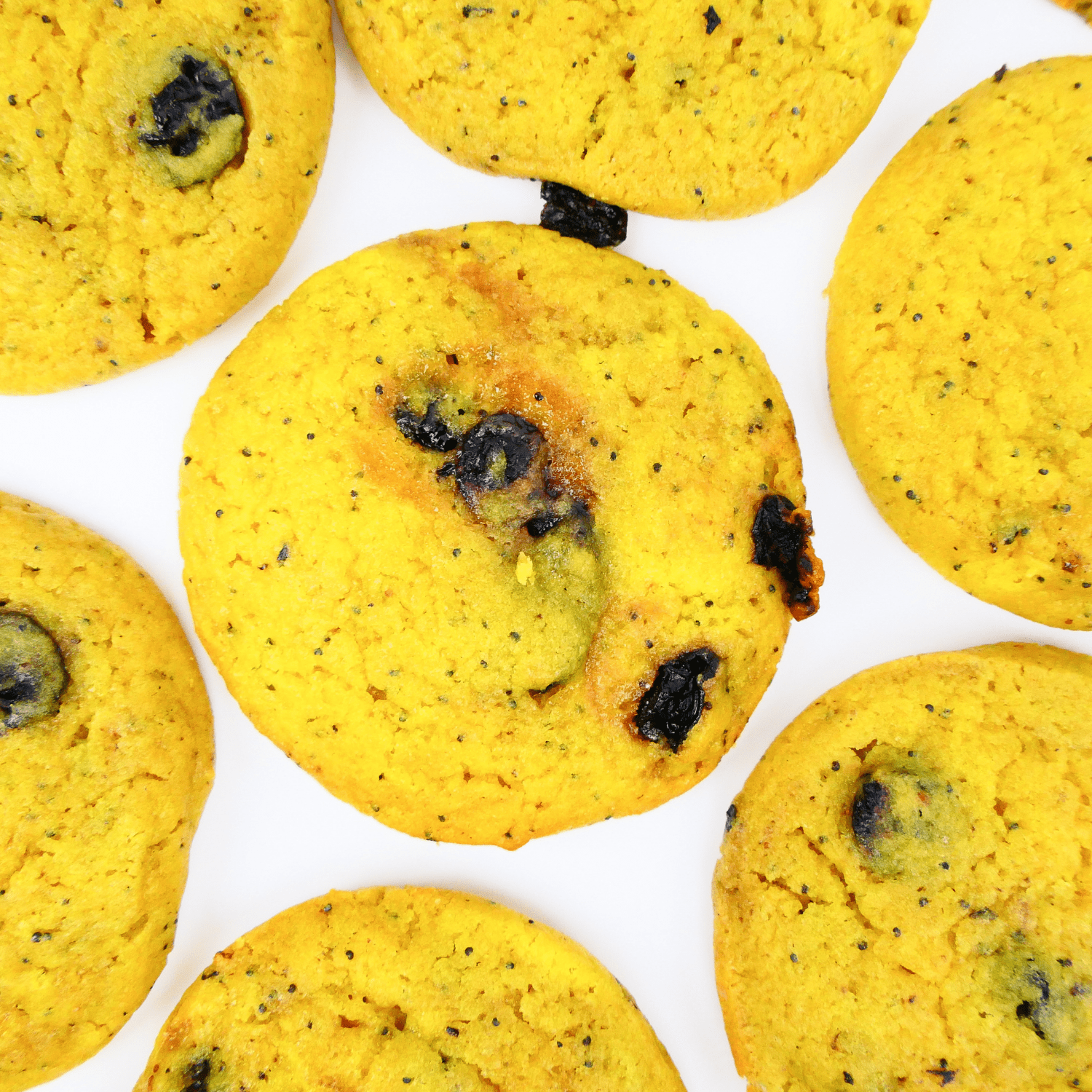 blueberry lemon poppy seed cookies