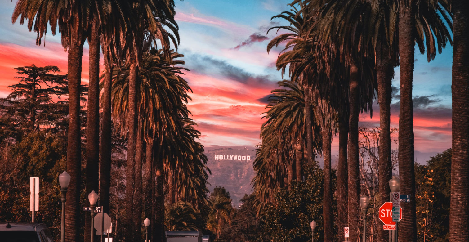 Palm trees and Hollywood sign