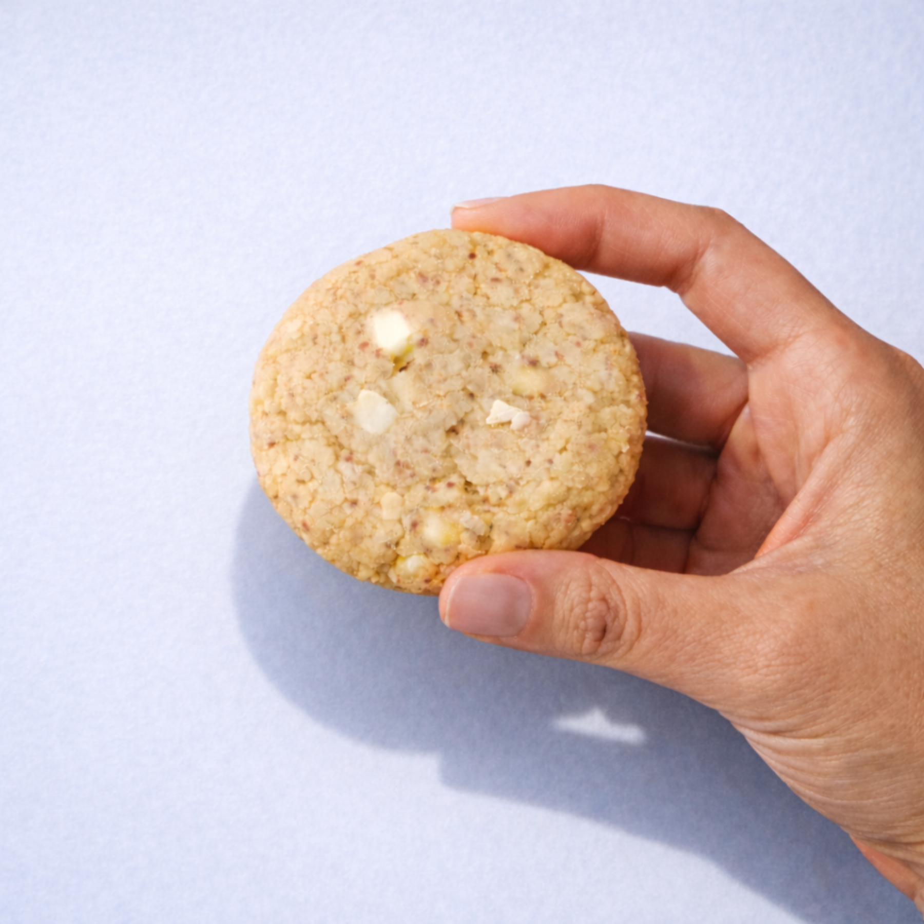 Hand holding a cookie against a light blue background
