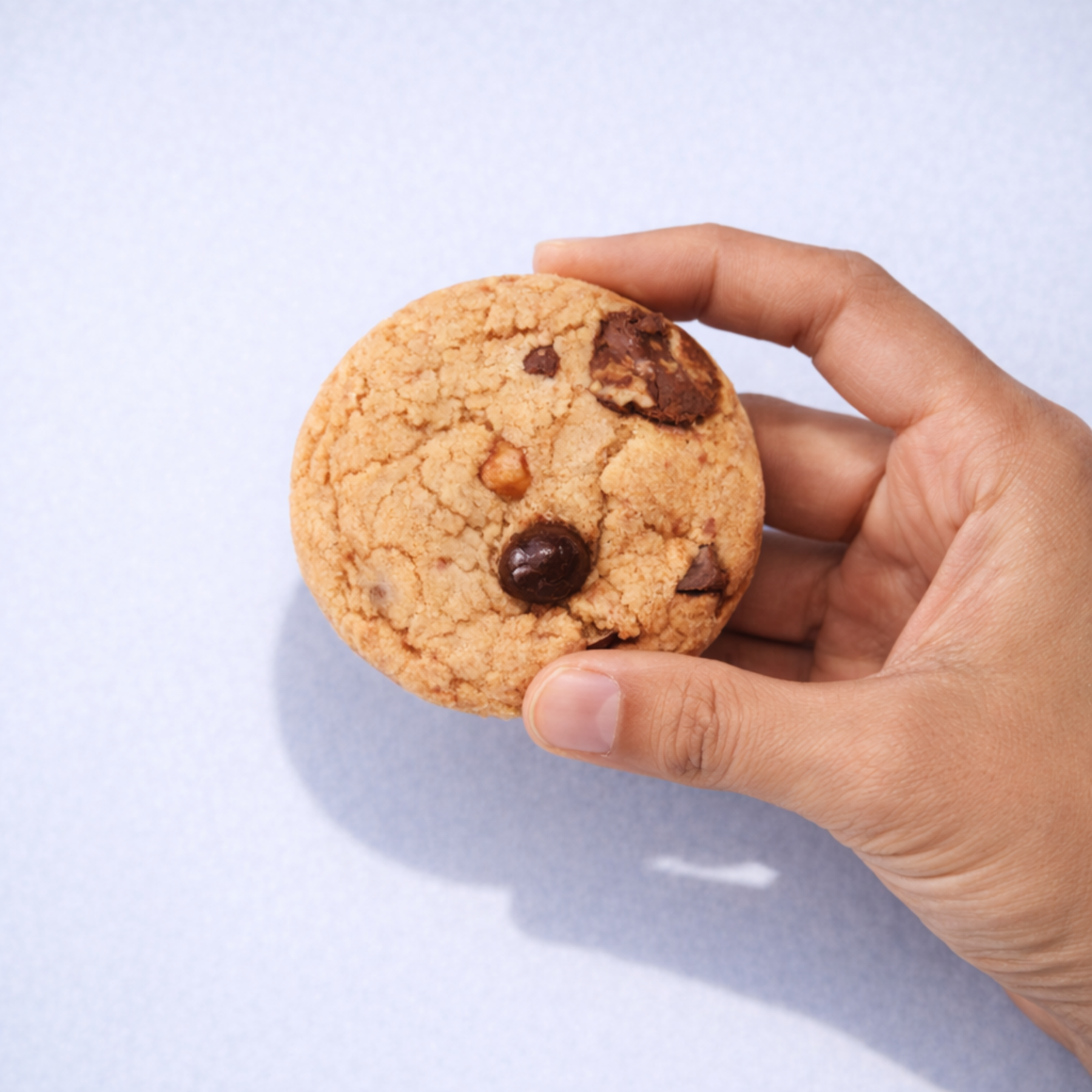 Hand holding a chocolate chip cookie against a light blue background