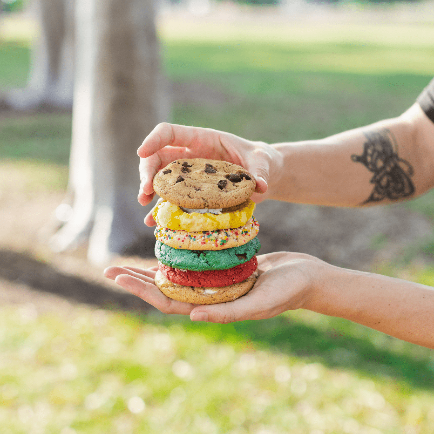 assorted cravory cookies stacked