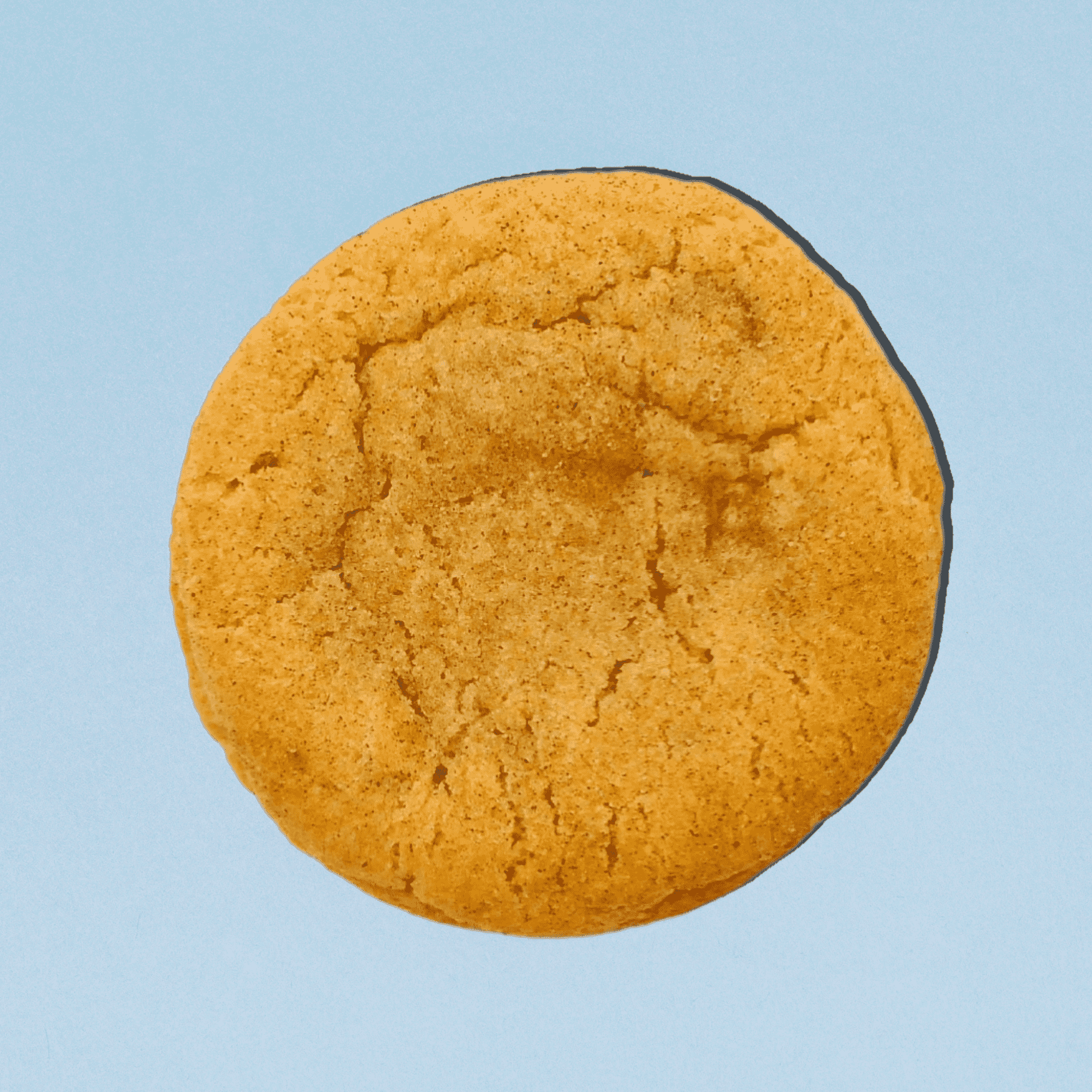 Dulce de Leche Churro Cookies - 4 Cookies