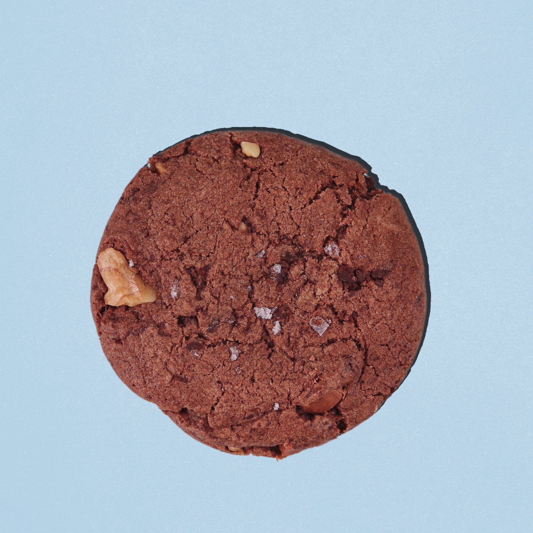 Hocus pocus single cookie