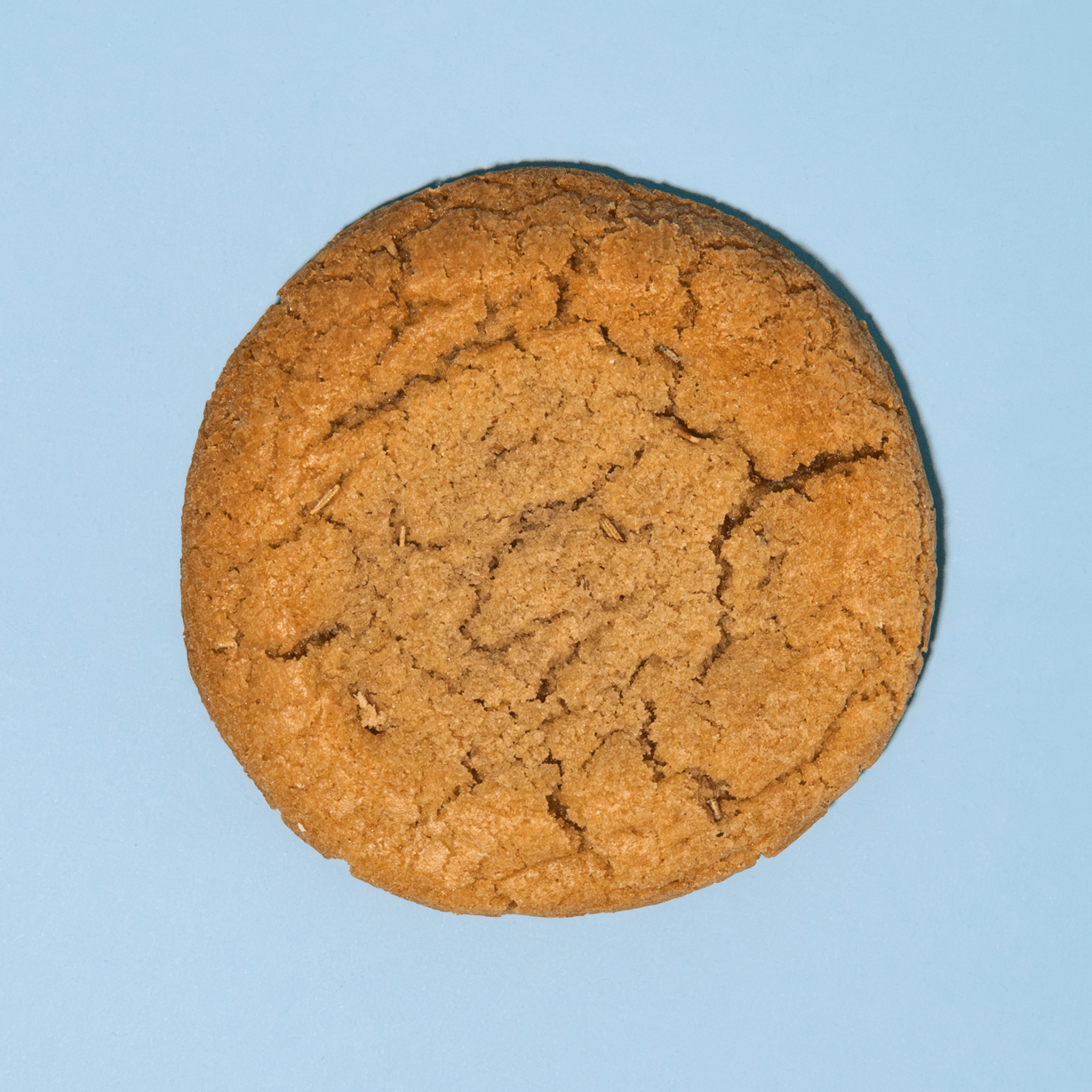 Rosemary Balsamic cookie