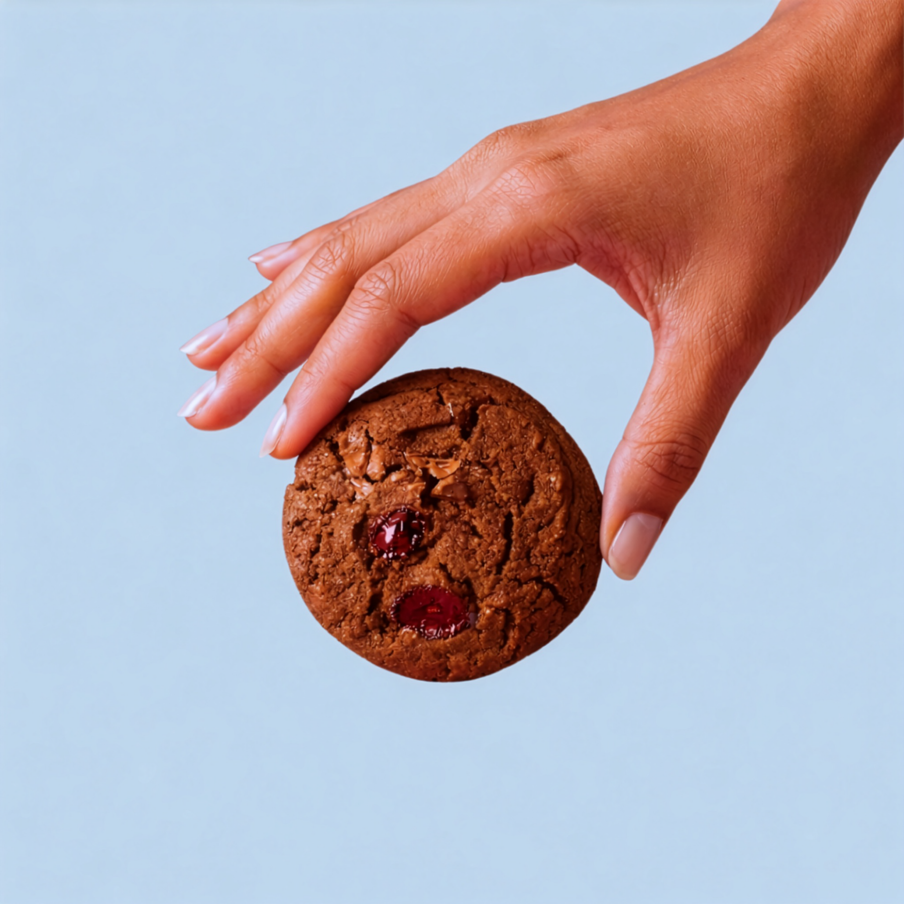 Hand holding a chocolate cookie against a light blue background