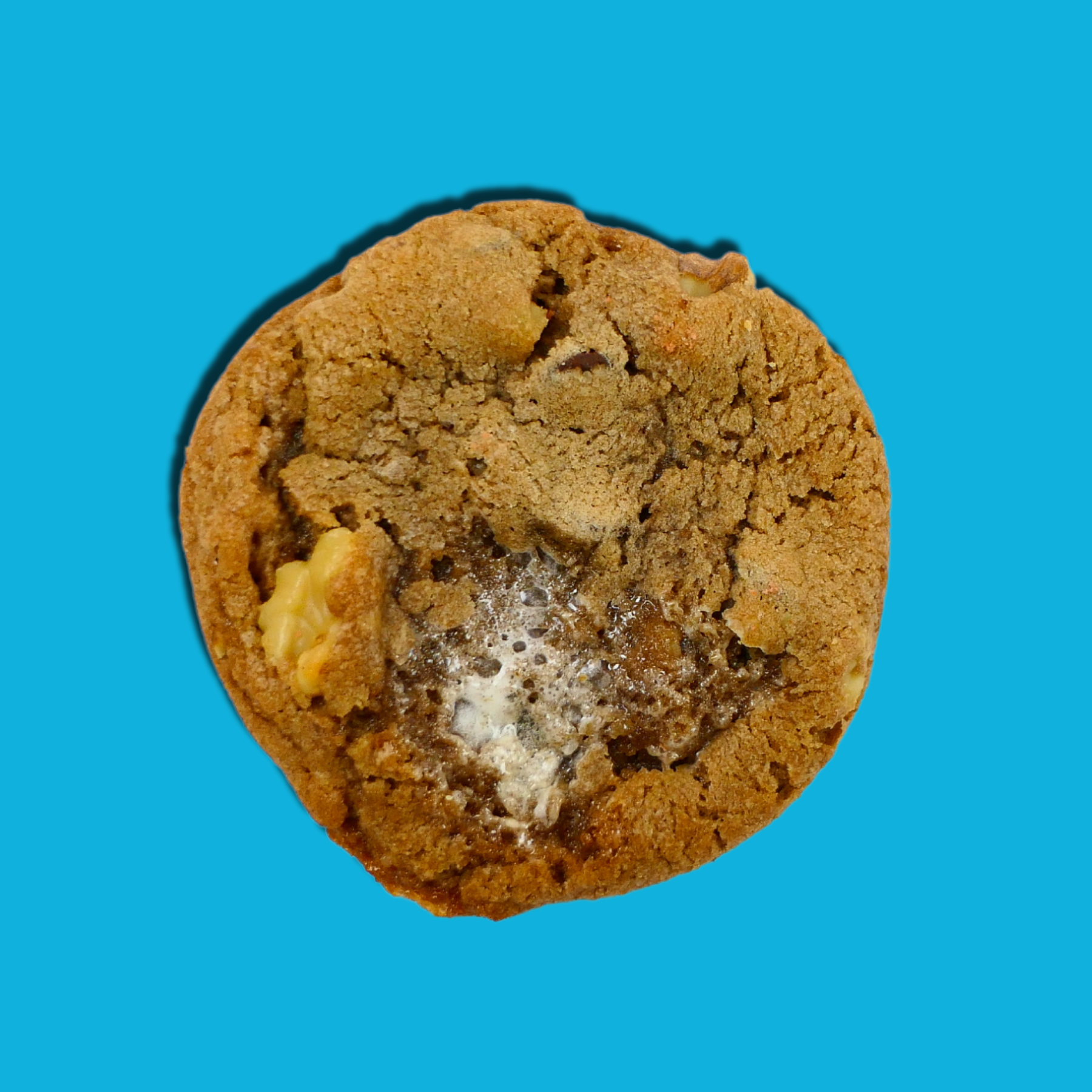 Walnut Wipeout - 4 cookies