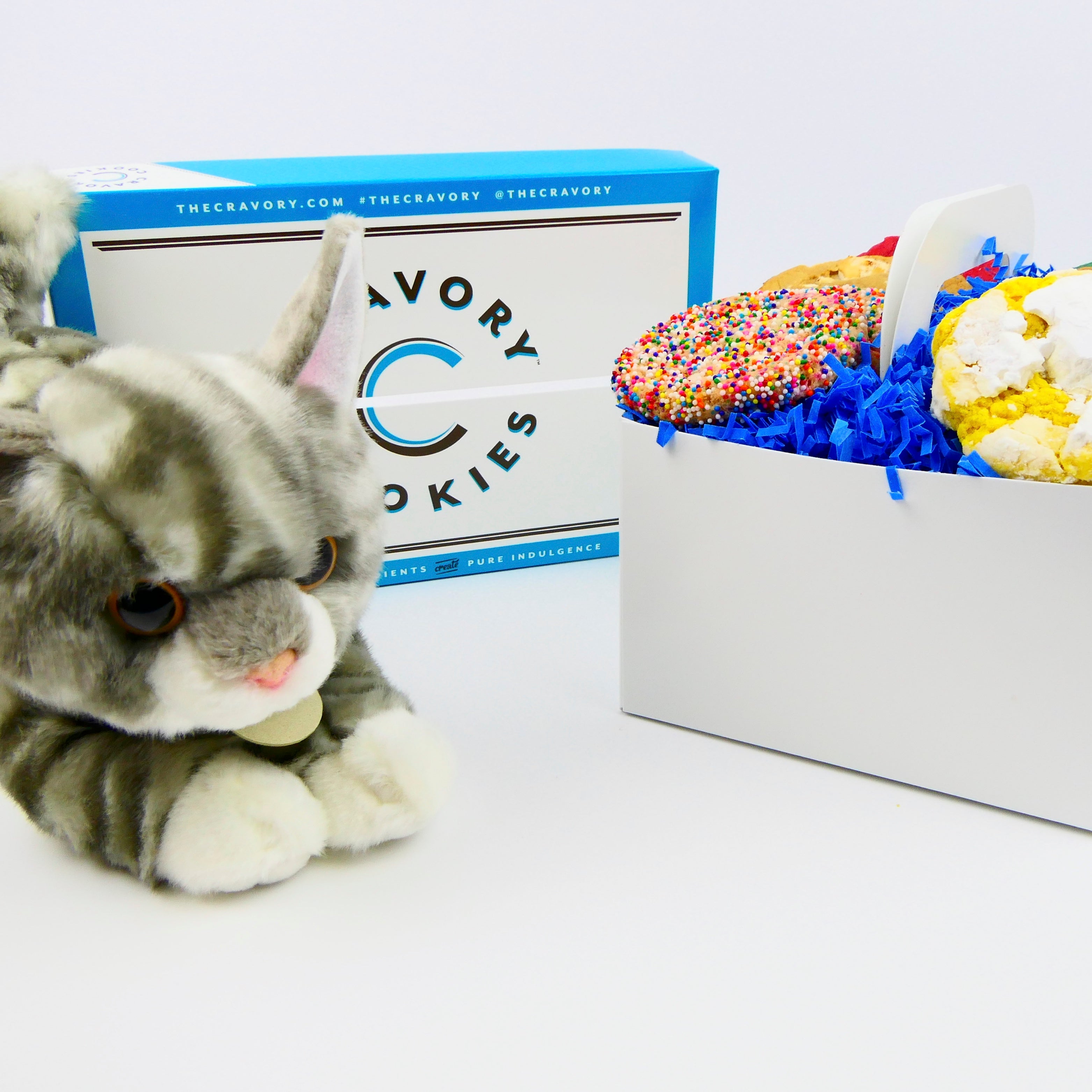 Kids cookie box - cat